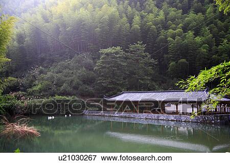 Stock Photo - China, Anhui, Mount Huangshan area, bamboo forest. Fotosearch