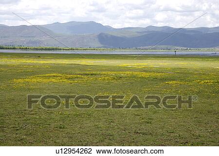 Stock Image - China, Yunnan Province, Meadow. Fotosearch