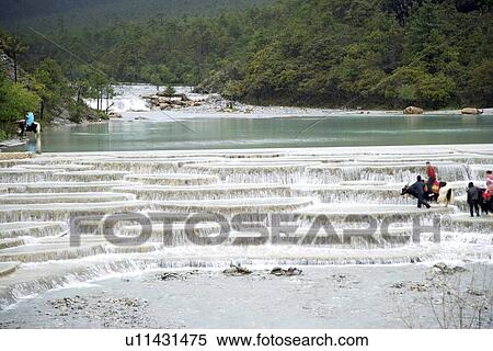 Stock Photography - China, Yunnan Province, water buffaloes and adults along river. Fotosearch