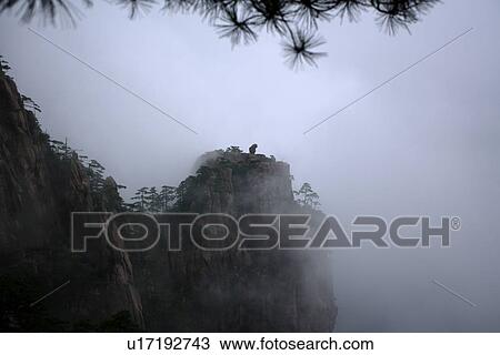 China, Anhui Province, Mt. Huangshan, The Monkey Gazing At The Sea View Large Photo Image Stock Image - China, Anhui Province, Mt. Huangshan, The Monkey Gazing At The Sea. Fotosearch