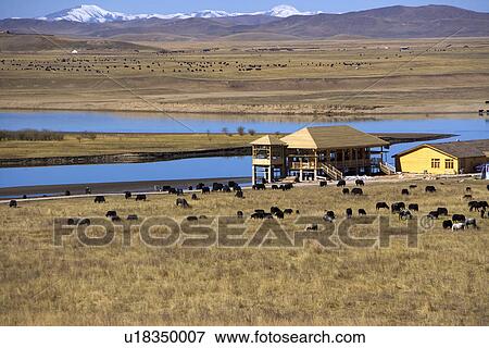 China, Sichuan, First Bay Of The Winding Yellow River View Large Photo Image Stock Photo - China, Sichuan, First Bay Of The Winding Yellow River. Fotosearch
