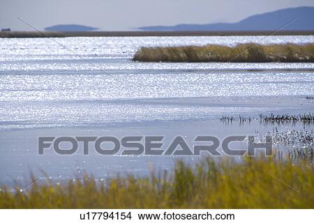 China, Sichuan, Flower lake View Large Photo Image Picture - China, Sichuan, Flower lake. Fotosearch