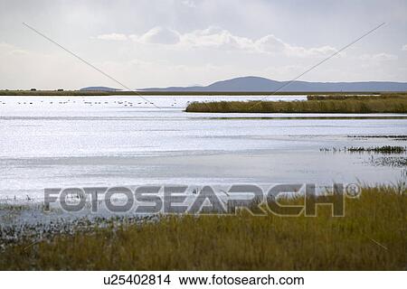 Picture - China, Sichuan, Flower lake. Fotosearch