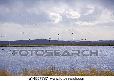 China, Sichuan, Huahu Scenic Spot View Large Photo Image Stock Photo - China, Sichuan, Huahu Scenic Spot. Fotosearch
