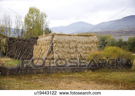 China, Sichuan Province, Chuanzhusi Town View Large Photo Image Stock Image - China, Sichuan Province, Chuanzhusi Town. Fotosearch