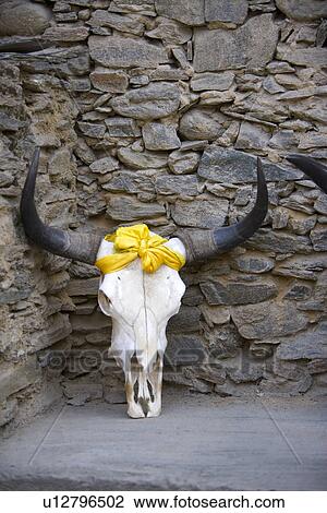 China, Sichuan Province, Taoping Qiang Village, Animal skull at corner View Large Photo Image Stock Image - China, Sichuan Province, Taoping Qiang Village, Animal skull at corner. Fotosearch
