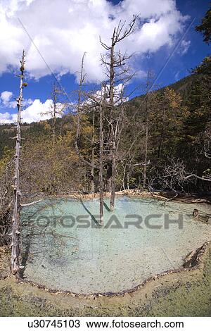 Stock Image - China, Sichuan, Huanglong, Glamorous Pools. Fotosearch