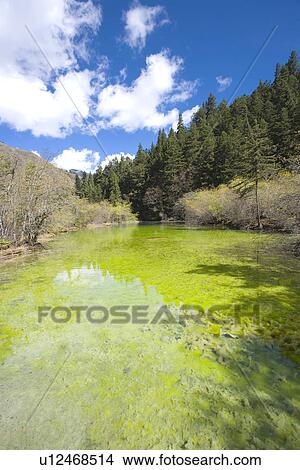 Picture - China, Sichuan, Huanglong, Pool Of Tiny Waves. Fotosearch