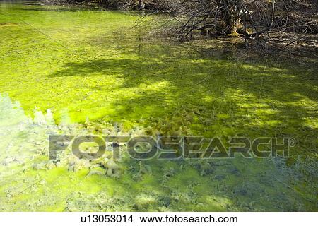 Picture - China, Sichuan, Huanglong, Pool Of Tiny Waves. Fotosearch
