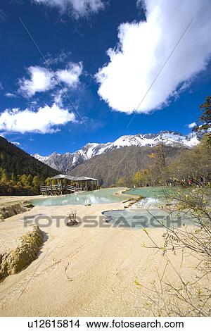 Picture - China, Sichuan, Huanglong, Rhododendron Pool. Fotosearch