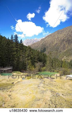 China, Sichuan, Huanglong, Rhododendron Pool View Large Photo Image Stock Image - China, Sichuan, Huanglong, Rhododendron Pool. Fotosearch