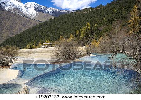 Stock Photo - China, Sichuan, Huanglong, Rhododendron Pool. Fotosearch