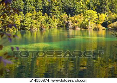 Picture - China, Sichuan Province, Nine Village Valley, Sparkling Lake. Fotosearch