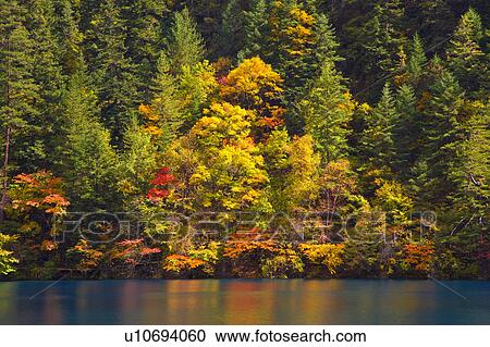 Stock Image - China, Sichuan Province, Nine Village Valley, pond with autumn foliage. Fotosearch