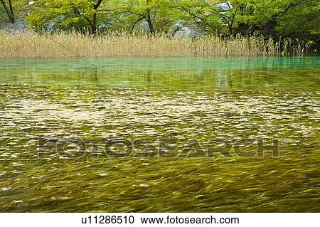 China, Sichuan Province, Nine Village Valley, Reed Lake View Large Photo Image Stock Image - China, Sichuan Province, Nine Village Valley, Reed Lake. Fotosearch