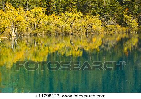 China, Sichuan Province, Nine Village Valley, pond with autumn foliage View Large Photo Image Stock Image - China, Sichuan Province, Nine Village Valley, pond with autumn foliage. Fotosearch