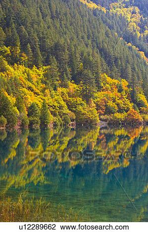 China, Sichuan Province, Nine Village Valley, Rhinoceros Lake View Large Photo Image Stock Image - China, Sichuan Province, Nine Village Valley, Rhinoceros Lake. Fotosearch