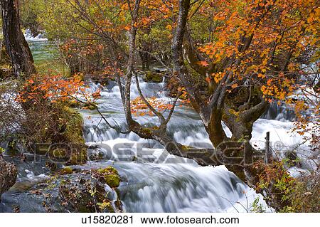 China, Sichuan Province, Nine Village Valley, Shuzheng Waterfall View Large Photo Image Stock Image - China, Sichuan Province, Nine Village Valley, Shuzheng Waterfall. Fotosearch