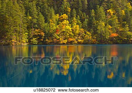 China, Sichuan Province, Nine Village Valley, pond with autumn foliage View Large Photo Image Stock Image - China, Sichuan Province, Nine Village Valley, pond with autumn foliage. Fotosearch
