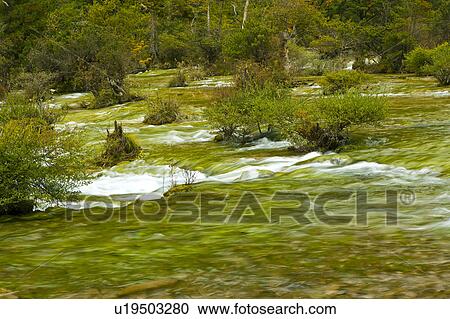 China, Sichuan Province, Nine Village Valley, Potted Landscape Shoal View Large Photo Image Stock Image - China, Sichuan Province, Nine Village Valley, Potted Landscape Shoal. Fotosearch