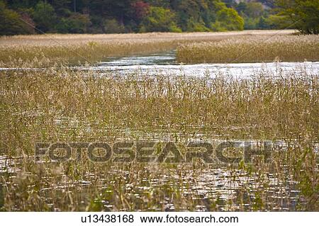 China, Sichuan Province, Nine Village Valley, Reed Lake View Large Photo Image Stock Photo - China, Sichuan Province, Nine Village Valley, Reed Lake. Fotosearch