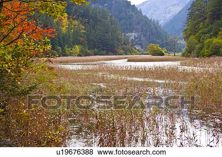 Stock Photo - China, Sichuan Province, Nine Village Valley, Reed Lake. Fotosearch