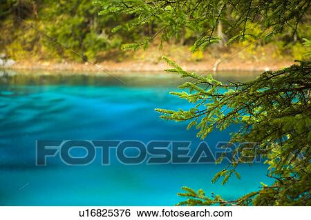 China, Sichuan Province, Nine Village Valley, pond with autumn foliage View Large Photo Image Stock Photograph - China, Sichuan Province, Nine Village Valley, pond with autumn foliage. Fotosearch