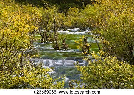Stock Photograph - China, Sichuan Province, Nine Village Valley, Shuzheng Lakes. Fotosearch