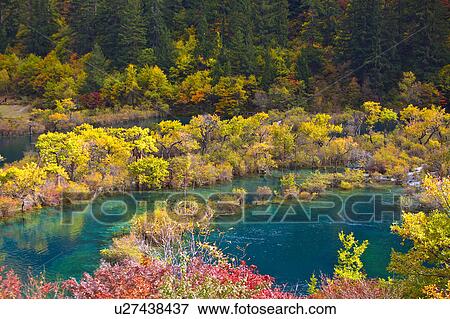 China, South Central China, Sichuan Province, Jiuzhaigou, Shuzheng Lakes View Large Photo Image Stock Photo - China, South Central China, Sichuan Province, Jiuzhaigou, Shuzheng Lakes. Fotosearch