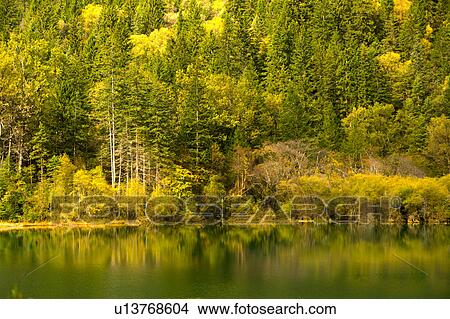 China, Sichuan Province, Nine Village Valley, Arrow Bamboo Lake View Large Photo Image Picture - China, Sichuan Province, Nine Village Valley, Arrow Bamboo Lake. Fotosearch