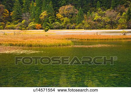 Picture - China, Sichuan Province, Nine Village Valley, Grass Lake. Fotosearch