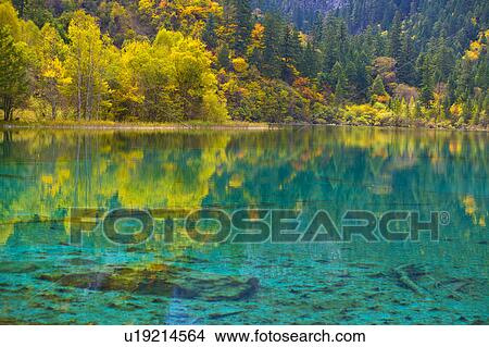 Picture - China, Sichuan Province, Nine Village Valley, Five Flower Lake. Fotosearch