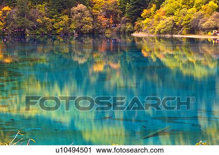 Stock Image - China, Sichuan Province, Nine Village Valley, Five Flower Lake. Fotosearch