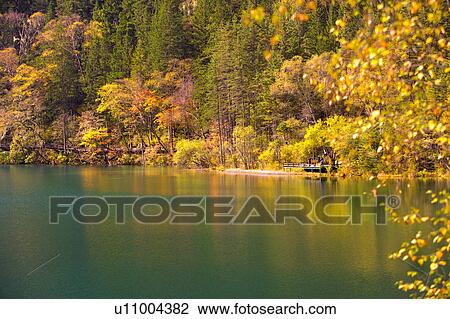 China, Sichuan Province, Nine Village Valley, Arrow Bamboo Lake View Large Photo Image Stock Image - China, Sichuan Province, Nine Village Valley, Arrow Bamboo Lake. Fotosearch