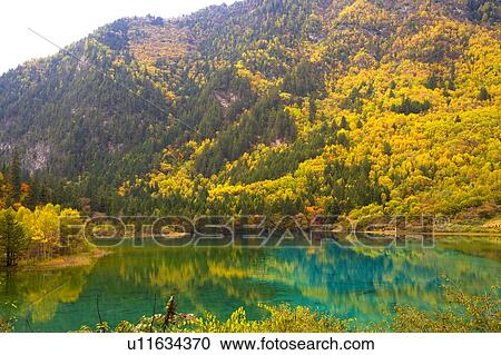 Stock Image - China, Sichuan Province, Nine Village Valley, Five Flower Lake. Fotosearch