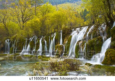 China, Sichuan Province, Nine Village Valley, Arrow Bamboo Lake View Large Photo Image Stock Image - China, Sichuan Province, Nine Village Valley, Arrow Bamboo Lake. Fotosearch