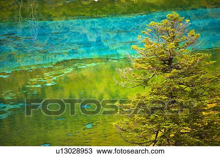 Stock Image - China, Sichuan Province, Nine Village Valley, Five Flower Lake. Fotosearch