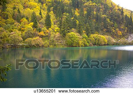 Stock Image - China, Sichuan Province, Nine Village Valley, Arrow Bamboo Lake. Fotosearch