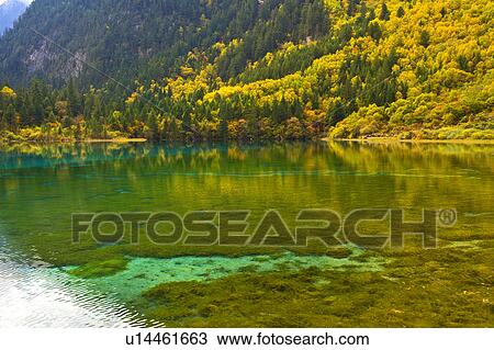 China, Sichuan Province, Nine Village Valley, Five Flower Lake View Large Photo Image Stock Image - China, Sichuan Province, Nine Village Valley, Five Flower Lake. Fotosearch