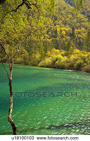 Stock Image - China, Sichuan Province, Nine Village Valley, Five Flower Lake. Fotosearch
