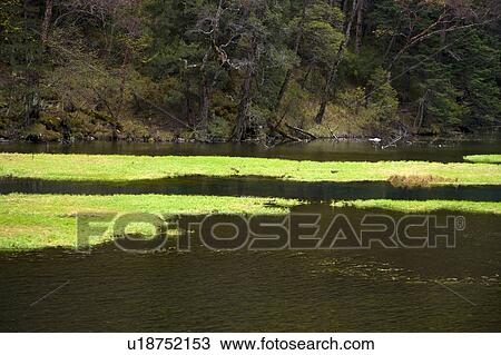 Stock Image - China, Sichuan Province, Nine Village Valley, Grass Lake. Fotosearch