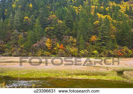 Stock Image - China, Sichuan Province, Nine Village Valley, Grass Lake. Fotosearch