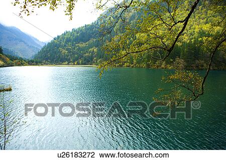 China, Sichuan Province, Nine Village Valley, Arrow Bamboo Lake View Large Photo Image Stock Image - China, Sichuan Province, Nine Village Valley, Arrow Bamboo Lake. Fotosearch