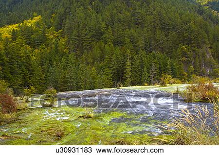 China, Sichuan Province, Nine Village Valley, Pearl Shoal View Large Photo Image Stock Image - China, Sichuan Province, Nine Village Valley, Pearl Shoal. Fotosearch