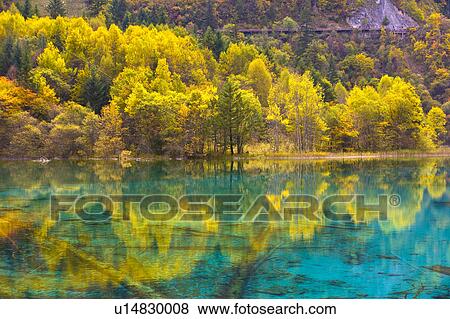 China, Sichuan Province, Nine Village Valley, Five Flower Lake View Large Photo Image Stock Photo - China, Sichuan Province, Nine Village Valley, Five Flower Lake. Fotosearch