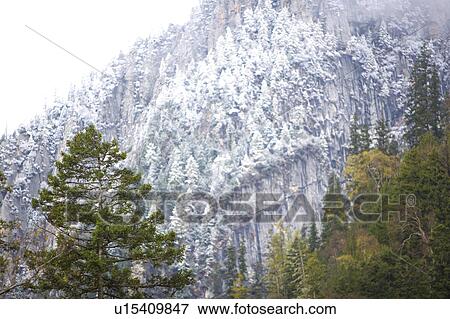 China, Sichuan Province, Nine Village Valley, Primeval Forest View Large Photo Image Stock Photo - China, Sichuan Province, Nine Village Valley, Primeval Forest. Fotosearch