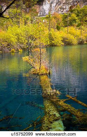 China, Sichuan Province, Nine Village Valley, Five Flower Lake View Large Photo Image Stock Photo - China, Sichuan Province, Nine Village Valley, Five Flower Lake. Fotosearch