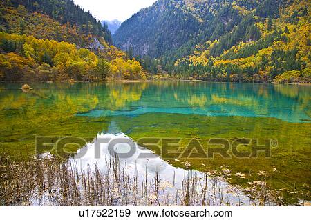 China, Sichuan Province, Nine Village Valley, Five Flower Lake View Large Photo Image Stock Photo - China, Sichuan Province, Nine Village Valley, Five Flower Lake. Fotosearch