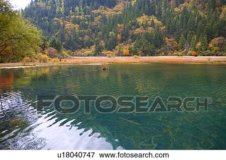 China, Sichuan Province, Nine Village Valley, Arrow Bamboo Lake View Large Photo Image Stock Photo - China, Sichuan Province, Nine Village Valley, Arrow Bamboo Lake. Fotosearch