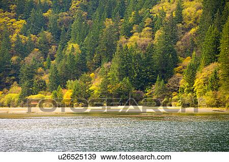 Stock Photo - China, Sichuan Province, Nine Village Valley, Arrow Bamboo Lake. Fotosearch
